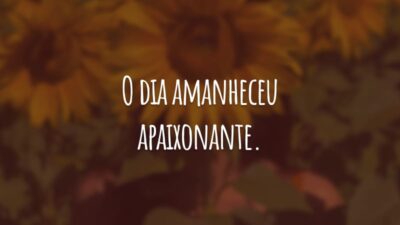 O dia amanheceu apaixonante. As flores estão belas e os pássaros espalham alegrias com seus cantos. Deixe o amor envolver o seu coração. Bom dia!