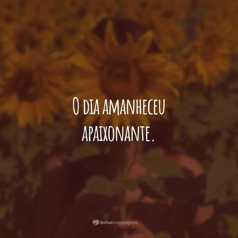 O dia amanheceu apaixonante. As flores estão belas e os pássaros espalham alegrias com seus cantos. Deixe o amor envolver o seu coração. Bom dia!