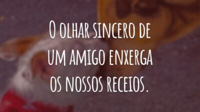 O olhar sincero de um amigo enxerga os nossos receios.