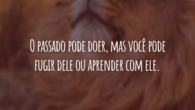 O passado pode doer, mas você pode fugir dele ou aprender com ele.