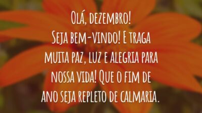 Olá, dezembro! Seja bem-vindo! E traga muita paz, luz e alegria para nossa vida! Que o fim de ano seja repleto de calmaria.
