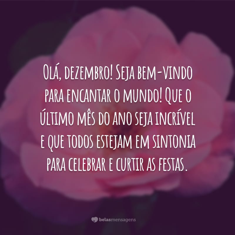 Olá, dezembro! Seja bem-vindo para encantar o mundo! Que o último mês do ano seja incrível e que todos estejam em sintonia para celebrar e curtir as festas.