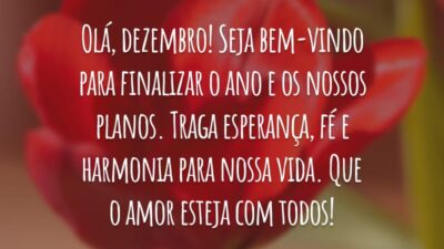 Olá, dezembro! Seja bem-vindo para finalizar o ano e os nossos planos. Traga esperança, fé e harmonia para nossa vida. Que o amor esteja com todos!