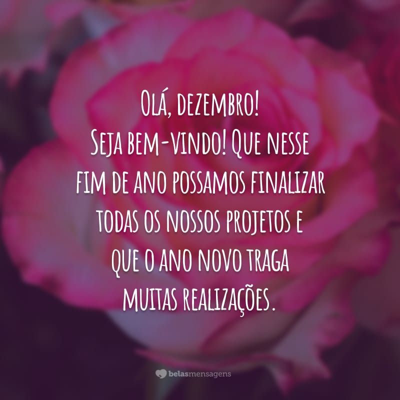 Olá, dezembro! Seja bem-vindo! Que nesse fim de ano possamos finalizar todas os nossos projetos e que o ano novo traga muitas realizações.