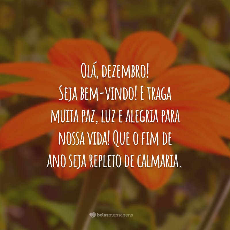 Olá, dezembro! Seja bem-vindo! E traga muita paz, luz e alegria para nossa vida! Que o fim de ano seja repleto de calmaria.