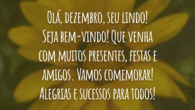 Olá, dezembro, seu lindo! Seja bem-vindo! Que venha com muitos presentes, festas e amigos. Vamos comemorar! Alegrias e sucessos para todos!