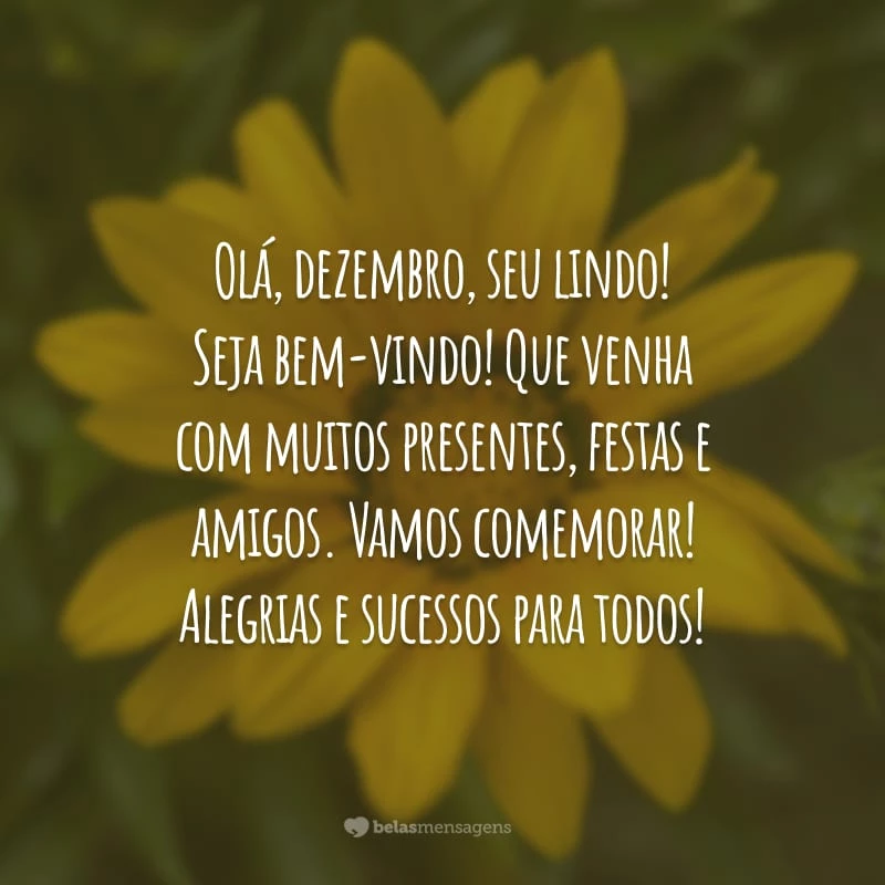 Olá, dezembro, seu lindo! Seja bem-vindo! Que venha com muitos presentes, festas e amigos. Vamos comemorar! Alegrias e sucessos para todos!