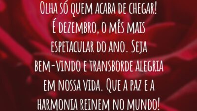 Olha só quem acaba de chegar! É dezembro, o mês mais espetacular do ano. Seja bem-vindo e transborde alegria em nossa vida. Que a paz e a harmonia reinem no mundo!