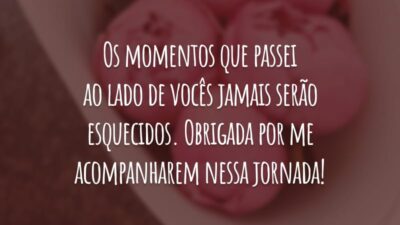 Os momentos que passei ao lado de vocês jamais serão esquecidos. Obrigada por me acompanharem nessa jornada!