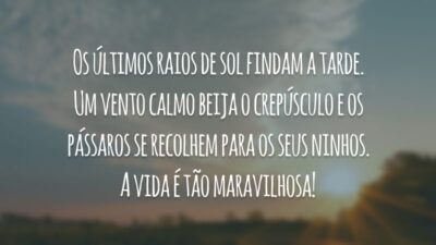 Os últimos raios de sol findam a tarde. Um vento calmo beija o crepúsculo e os pássaros se recolhem para os seus ninhos. A vida é tão maravilhosa!