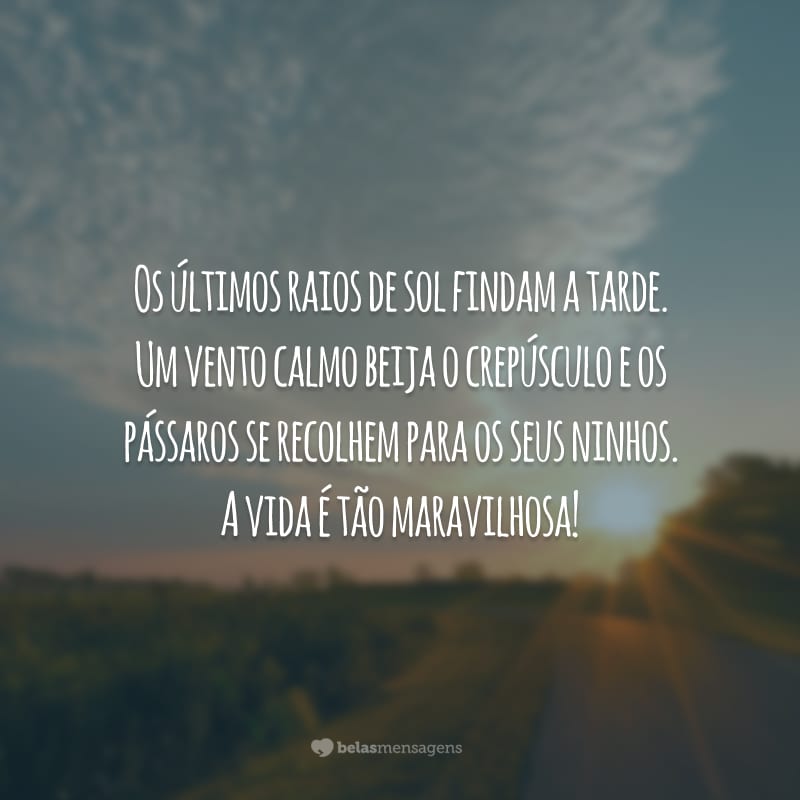 Os últimos raios de sol findam a tarde. Um vento calmo beija o crepúsculo e os pássaros se recolhem para os seus ninhos. A vida é tão maravilhosa!