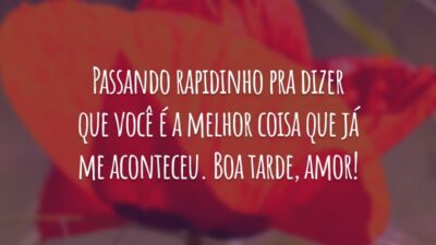 Passando rapidinho pra dizer que você é a melhor coisa que já me aconteceu. Boa tarde, amor!
