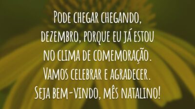 Pode chegar chegando, dezembro, porque eu já estou no clima de comemoração. Vamos celebrar e agradecer. Seja bem-vindo, mês natalino!