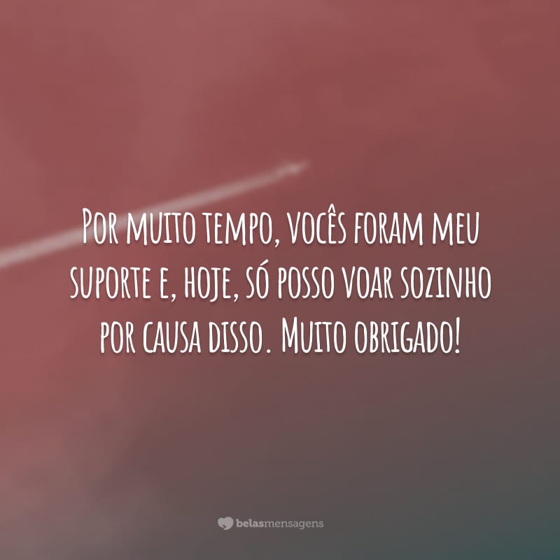 Por muito tempo, vocês foram meu suporte e, hoje, só posso voar sozinho por causa disso. Muito obrigado!