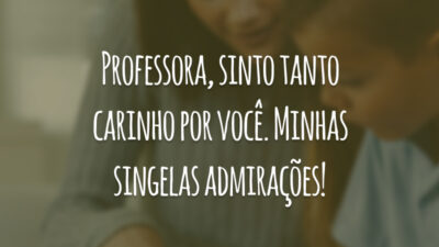 Professora, sinto tanto carinho por você. Minhas singelas admirações!