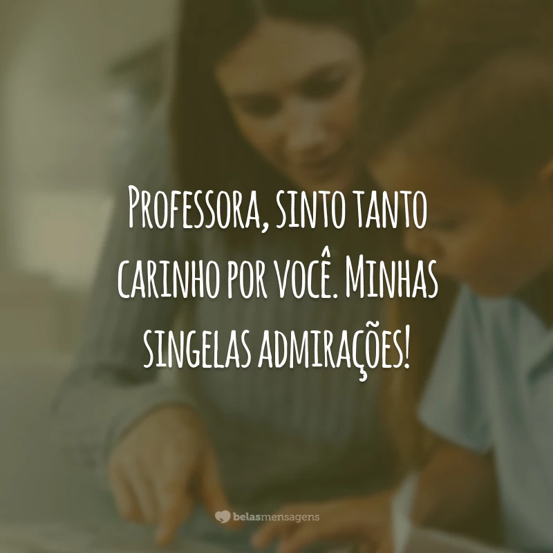 Professora, sinto tanto carinho por você. Minhas singelas admirações!