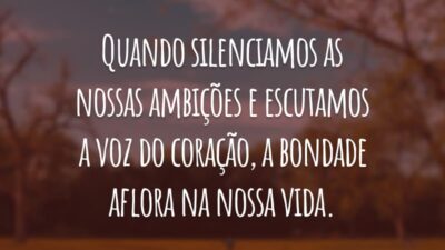 Quando silenciamos as nossas ambições e escutamos a voz do coração, a bondade aflora na nossa vida.