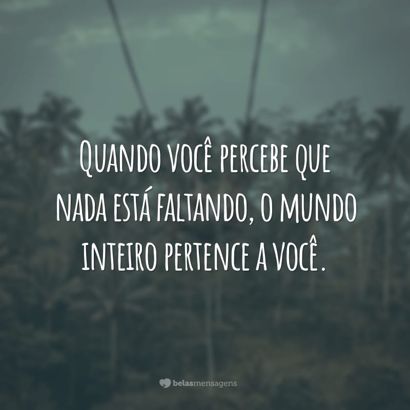 Quando você percebe que nada está faltando, o mundo inteiro pertence a você.