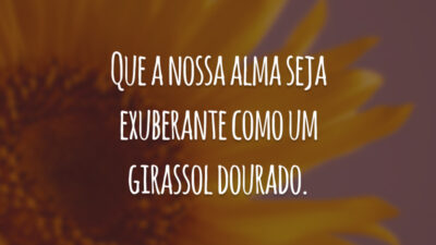 Que a nossa alma seja exuberante como um girassol dourado.