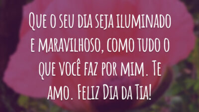 Que o seu dia seja iluminado e maravilhoso, como tudo o que você faz por mim. Te amo. Feliz Dia da Tia!