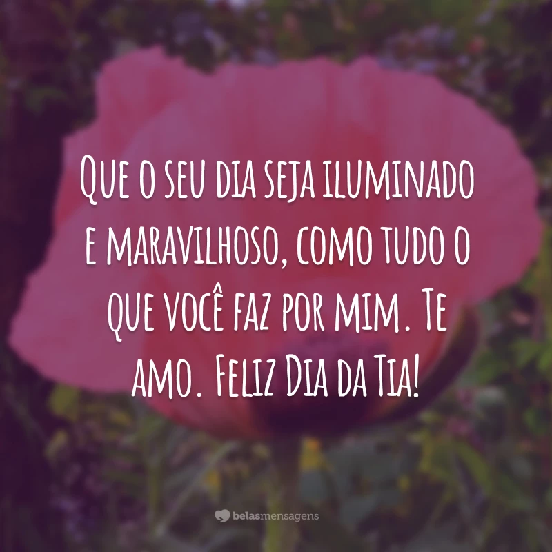 Que o seu dia seja iluminado e maravilhoso, como tudo o que você faz por mim. Te amo. Feliz Dia da Tia!