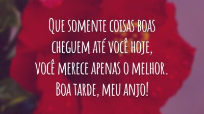 Que somente coisas boas cheguem até você hoje, você merece apenas o melhor. Boa tarde, meu anjo!
