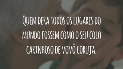 Quem dera todos os lugares do mundo fossem como o seu colo carinhoso de vovó coruja.