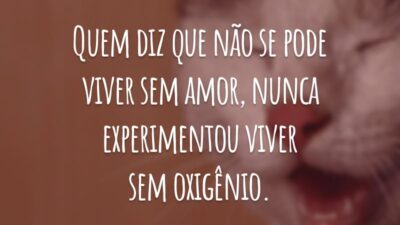 Quem diz que não sepode viver sem amor, nunca experimentou viver sem oxigênio.