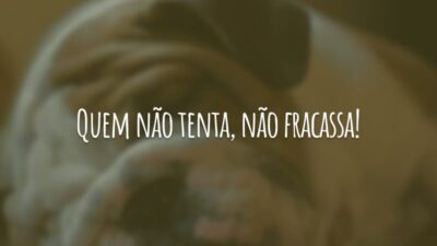 Quem não tenta, não fracassa!