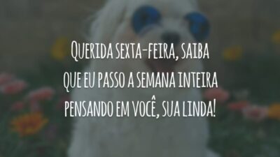 Querida sexta-feira, saiba que eu passo a semana inteira pensando em você, sua linda!