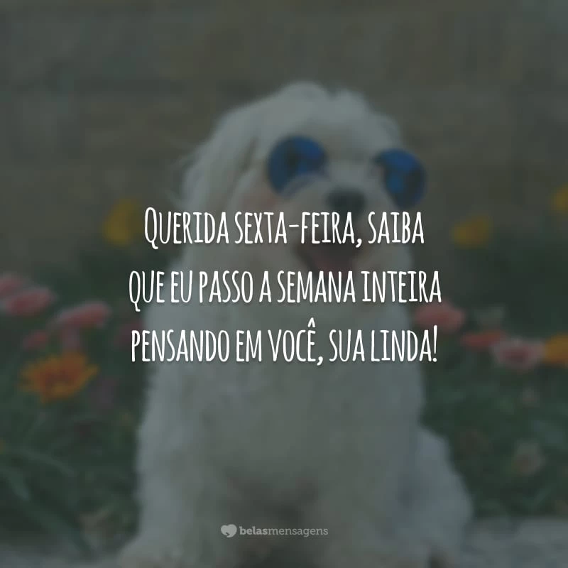 Querida sexta-feira, saiba que eu passo a semana inteira pensando em você, sua linda!