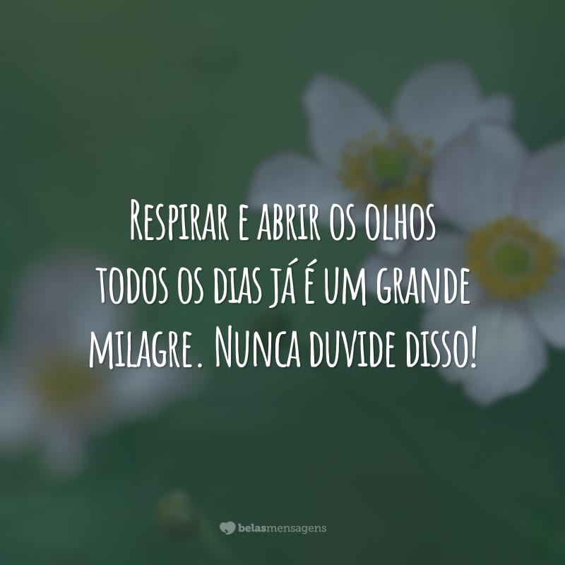 Respirar e abrir os olhos todos os dias já é um grande milagre. Nunca duvide disso!