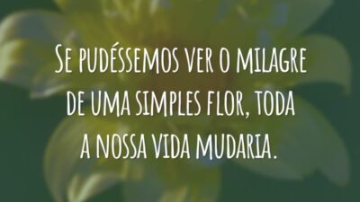 Se pudéssemos ver o milagre de uma simples flor, toda a nossa vida mudaria.