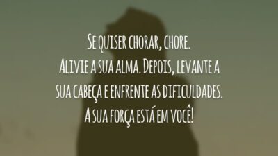 Se quiser chorar, chore. Alivie a sua alma. Depois, levante a sua cabeça e enfrente as dificuldades. A sua força está em você!
