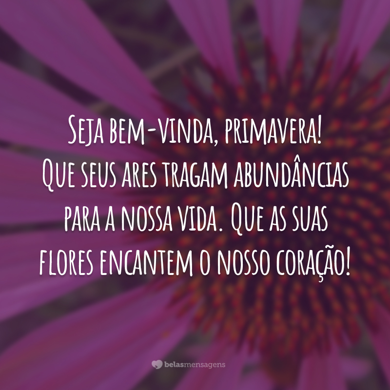 Seja bem-vinda, primavera! Que seus ares tragam abundâncias para a nossa vida. Que as suas flores encantem o nosso coração!