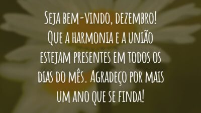 Seja bem-vindo, dezembro! Que a harmonia e a união estejam presentes em todos os dias do mês. Agradeço por mais um ano que se finda!
