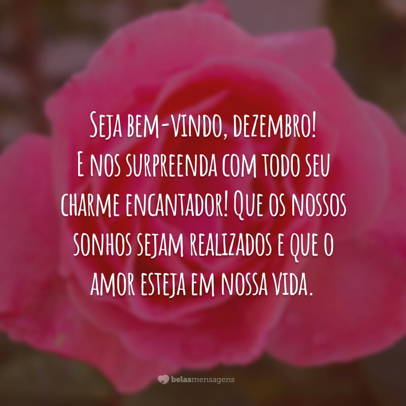 Seja bem-vindo, dezembro! E nos surpreenda com todo seu charme encantador! Que os nossos sonhos sejam realizados e que o amor esteja em nossa vida.