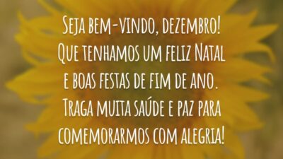Seja bem-vindo, dezembro! Que tenhamos um feliz Natal e boas festas de fim de ano. Traga muita saúde e paz para comemorarmos com alegria!