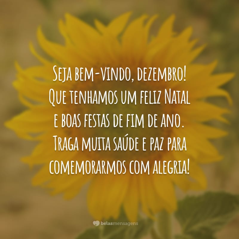 Seja bem-vindo, dezembro! Que tenhamos um feliz Natal e boas festas de fim de ano. Traga muita saúde e paz para comemorarmos com alegria!