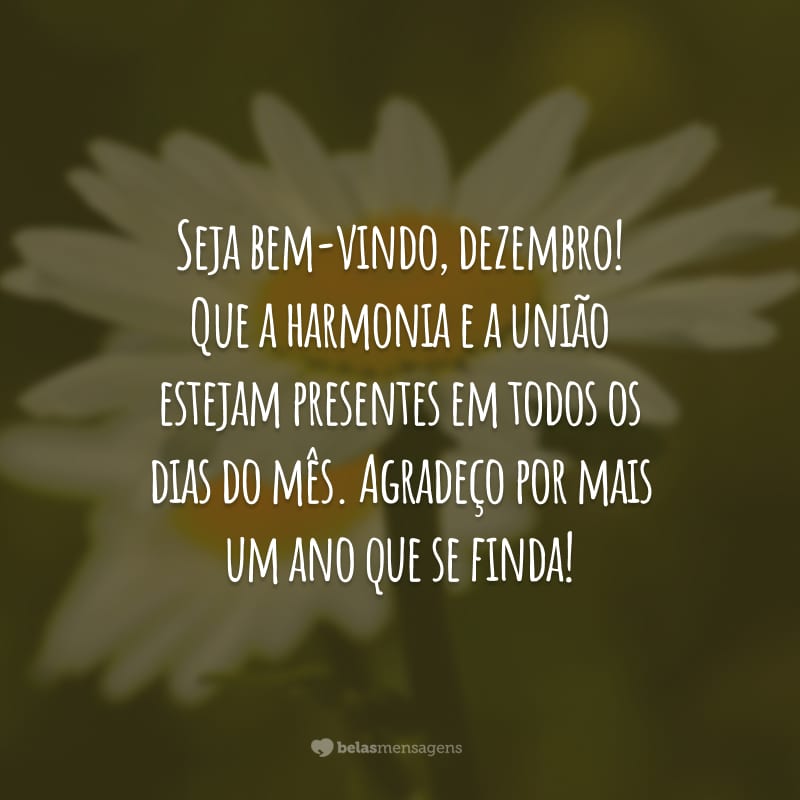 Seja bem-vindo, dezembro! Que a harmonia e a união estejam presentes em todos os dias do mês. Agradeço por mais um ano que se finda!