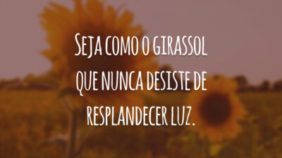 Seja como o girassol que nunca desiste de resplandecer luz.
