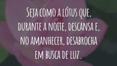 Seja como a lótus que, durante a noite, descansa e, no amanhecer, desabrocha em busca de luz.