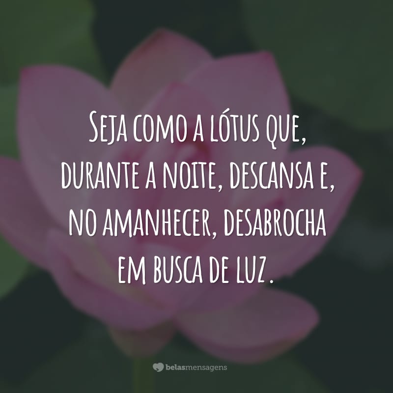 Seja como a lótus que, durante a noite, descansa e, no amanhecer, desabrocha em busca de luz.