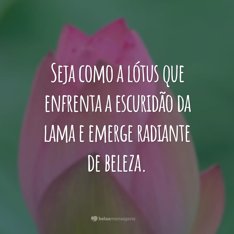 Seja como a lótus que enfrenta a escuridão da lama e emerge radiante de beleza.