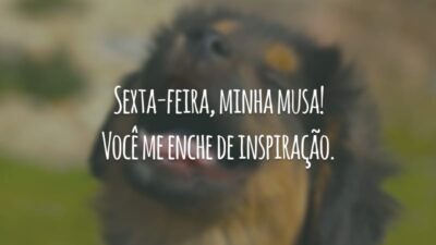 Sexta-feira, minha musa! Você me enche de inspiração.
