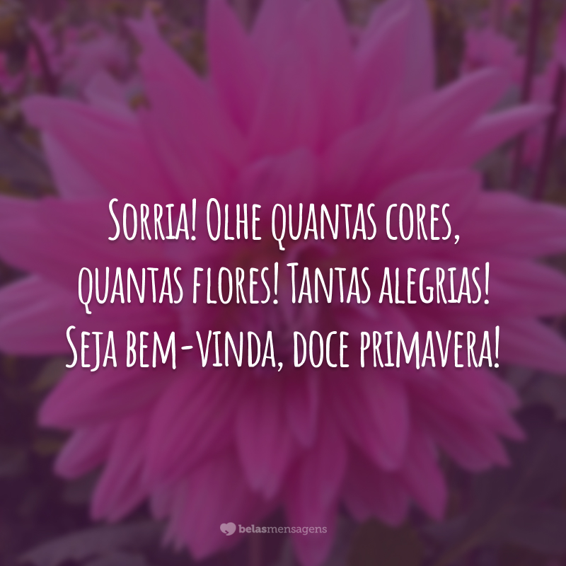 Sorria! Olhe quantas cores, quantas flores! Tantas alegrias! Seja bem-vinda, doce primavera!