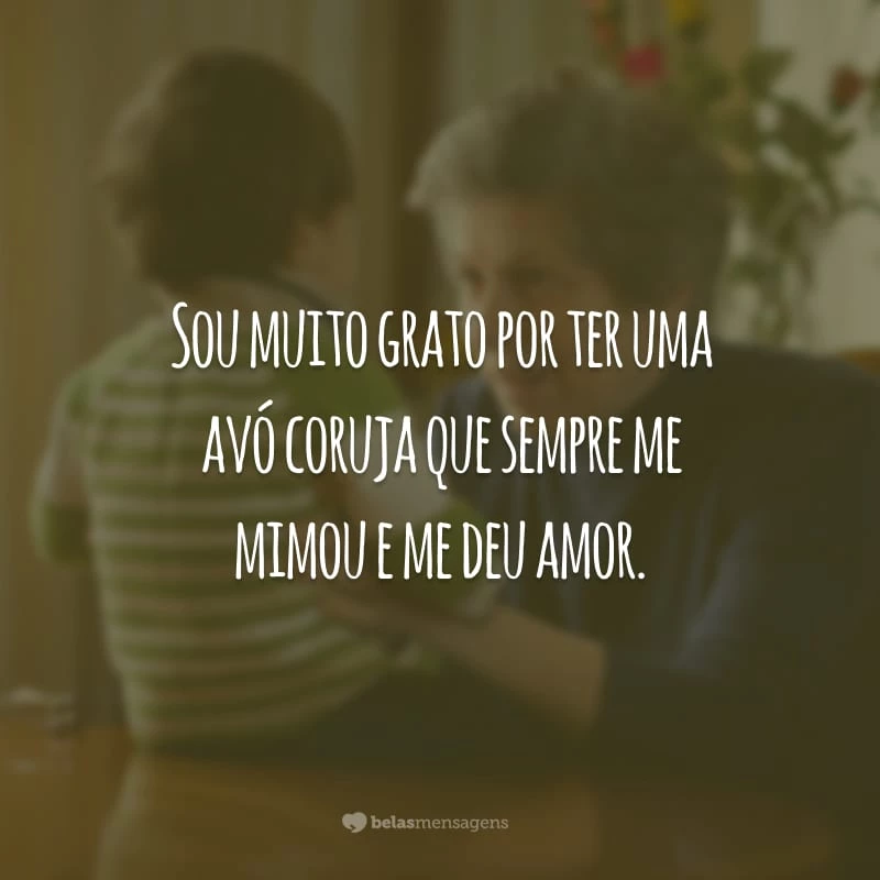 Sou muito grato por ter uma avó coruja que sempre me mimou e me deu amor.