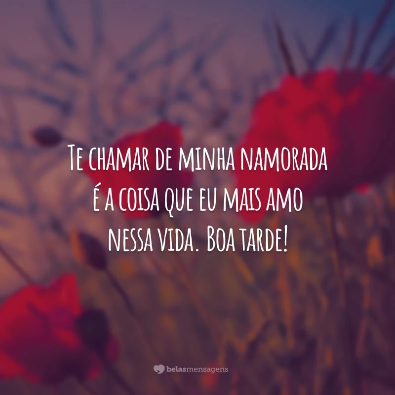 Te chamar de minha namorada é a coisa que eu mais amo nessa vida. Boa tarde!