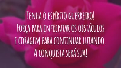 Tenha o espírito guerreiro! Força para enfrentar os obstáculos e coragem para continuar lutando. A conquista será sua!