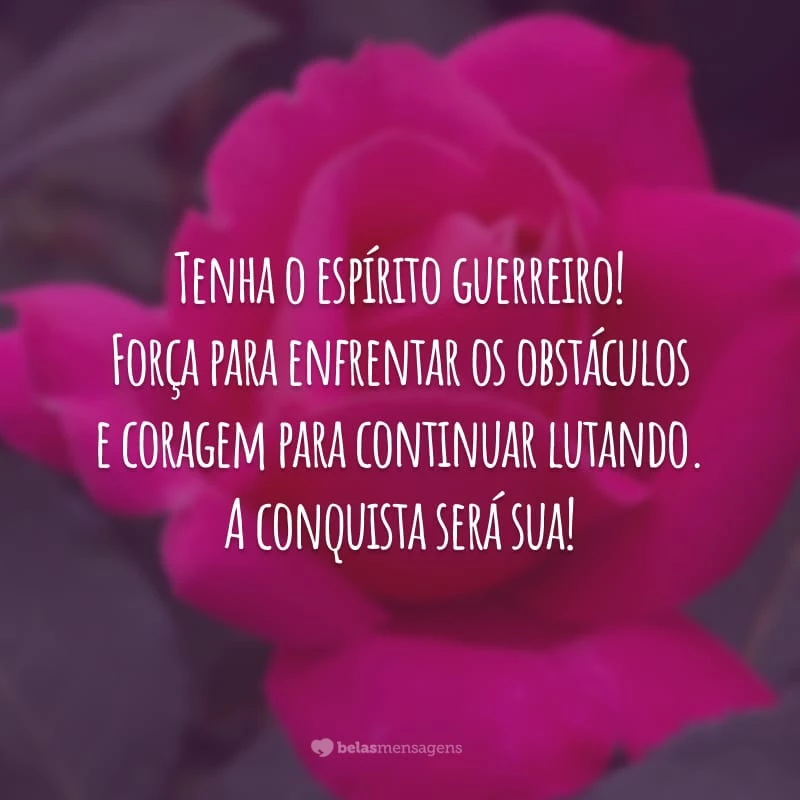 Tenha o espírito guerreiro! Força para enfrentar os obstáculos e coragem para continuar lutando. A conquista será sua!